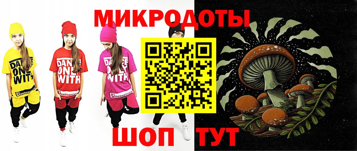 Псилоцибиновые грибы мицелий Электрогорск